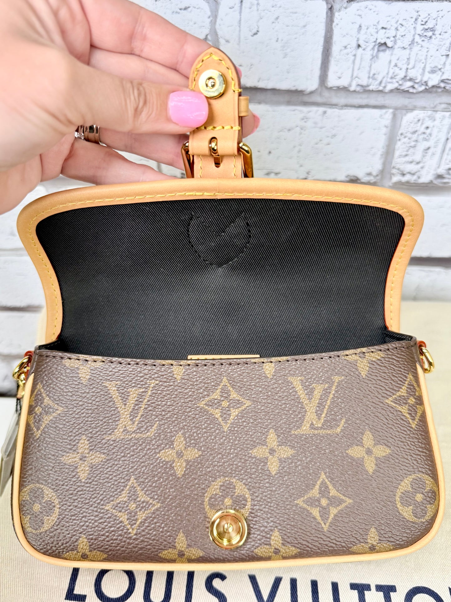 Louis Vuitton Nano Diane (Monogram) - Like New