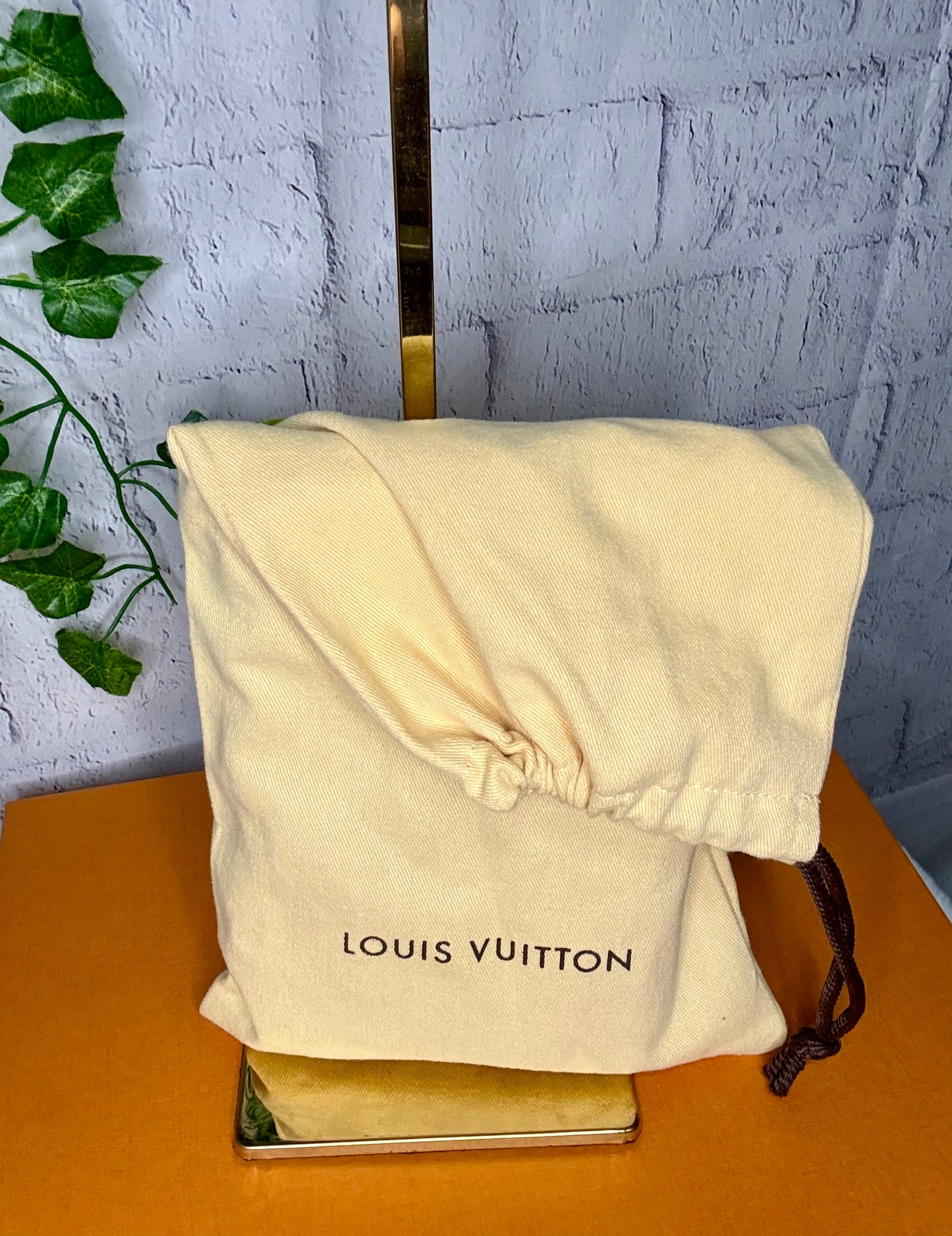 Louis Vuitton LIMITED EDITION World Tour Double Zip Pochette