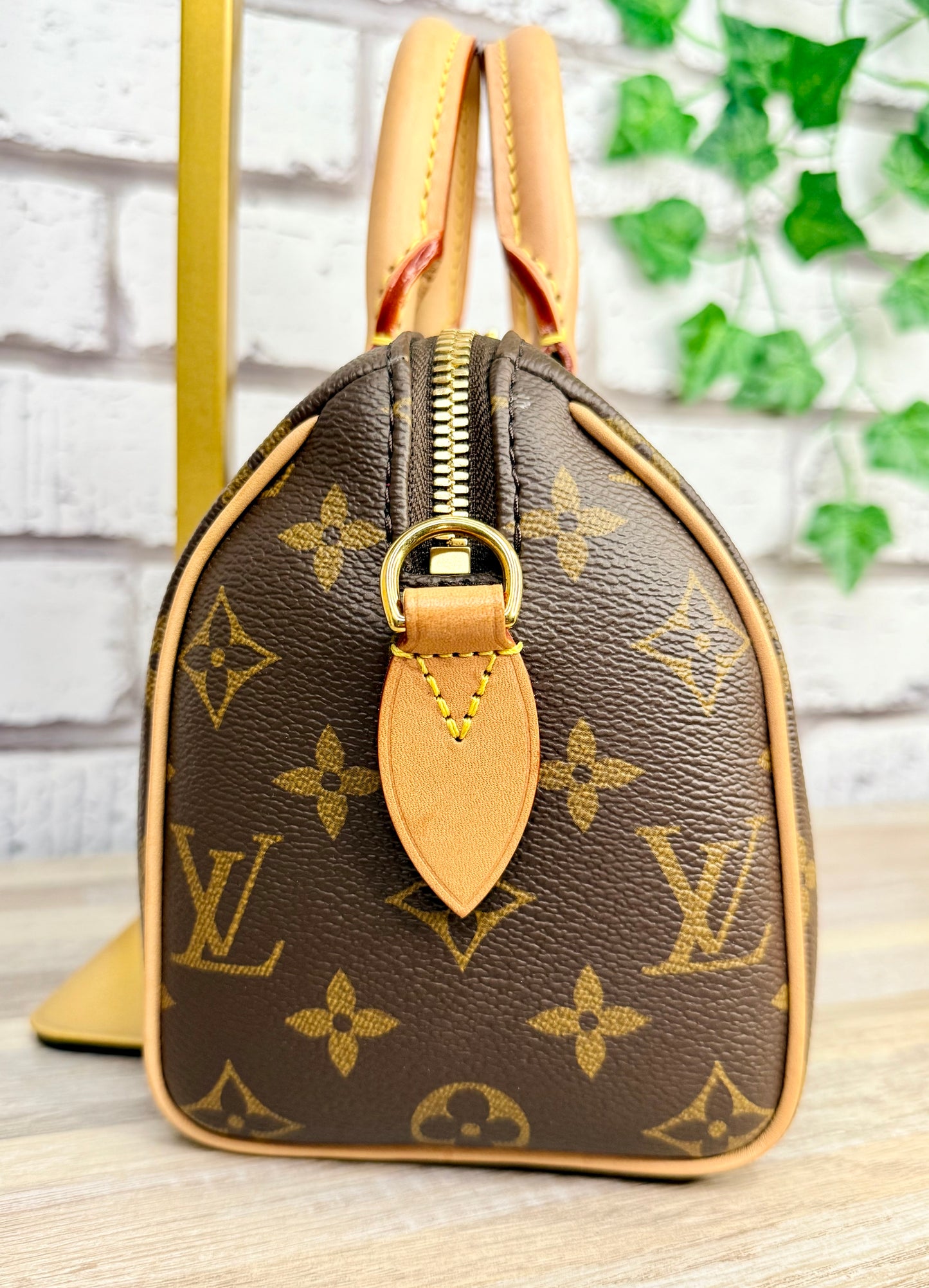 Louis Vuitton Monogram Speedy 20 (Black)