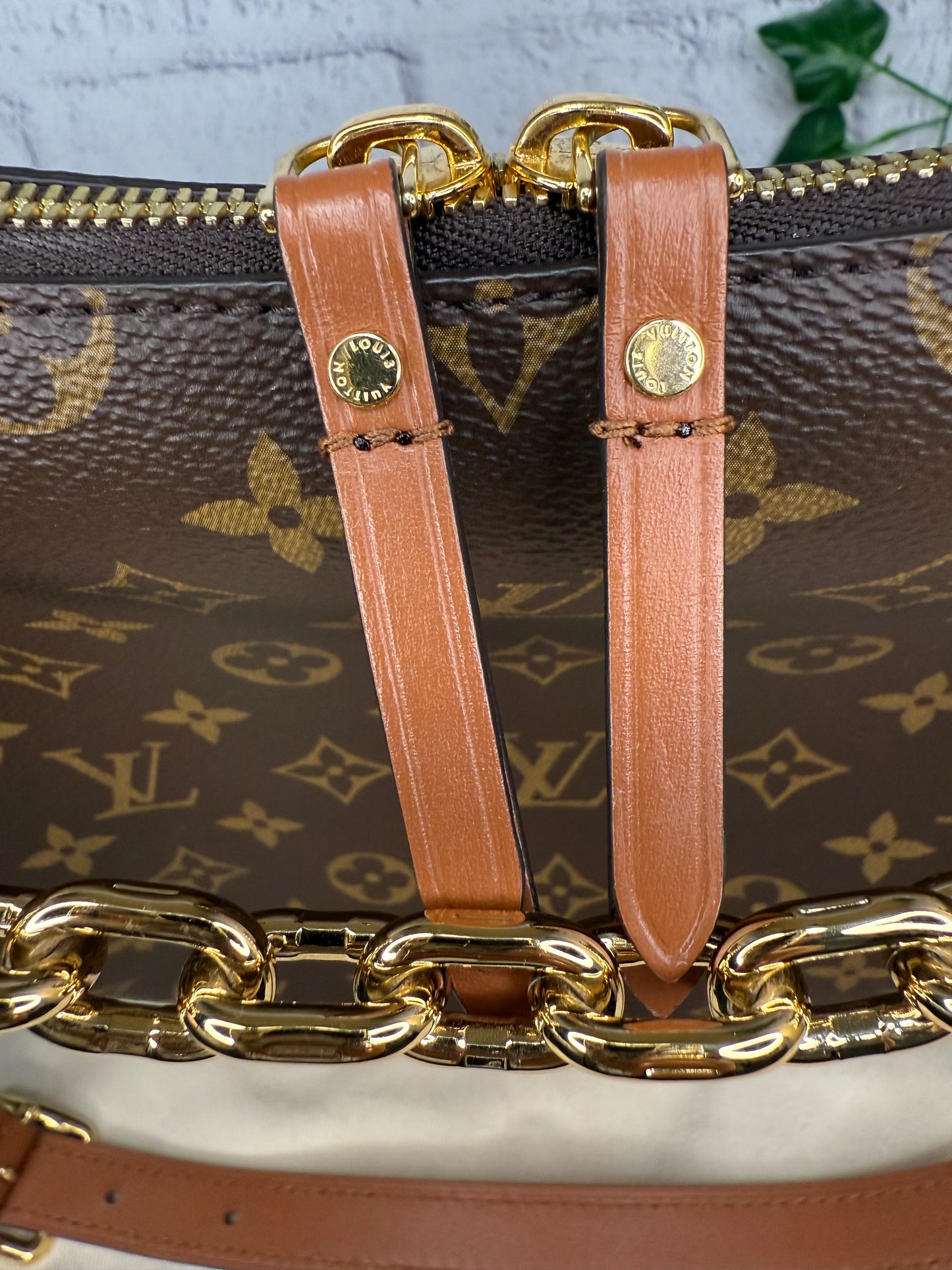 Louis Vuitton Loop Hobo Monogram Reverse with Pouch