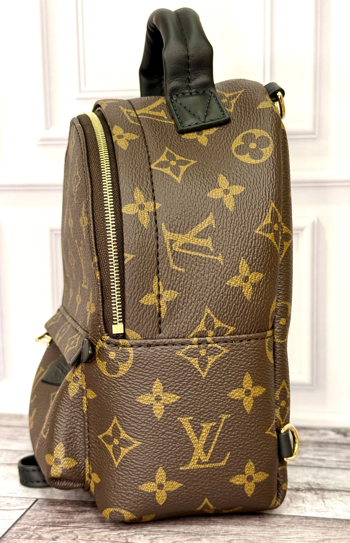 Louis Vuitton Palm Springs Mini (Monogram) - New