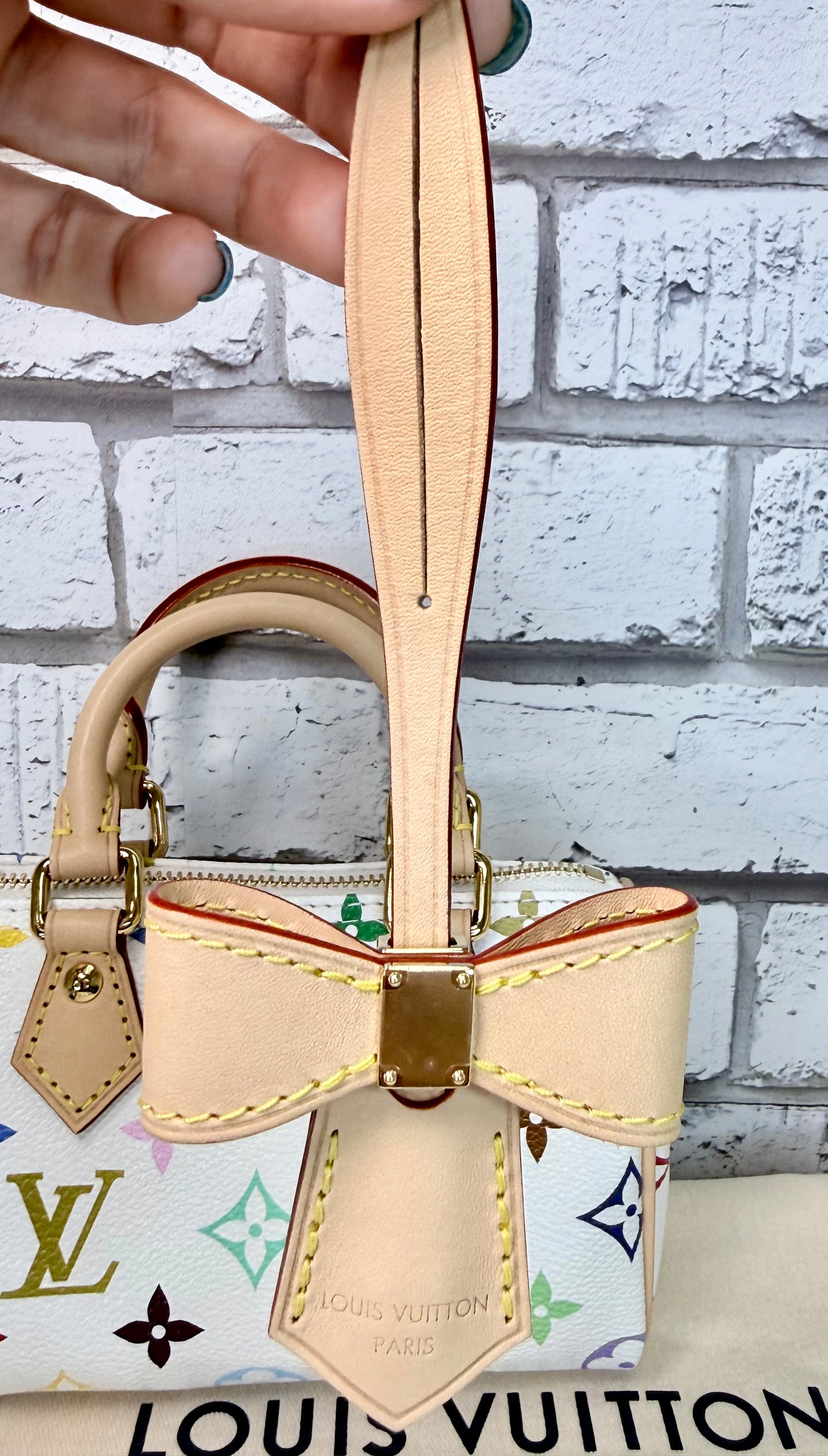 Louis Vuitton x Murakami Nano Speedy - New