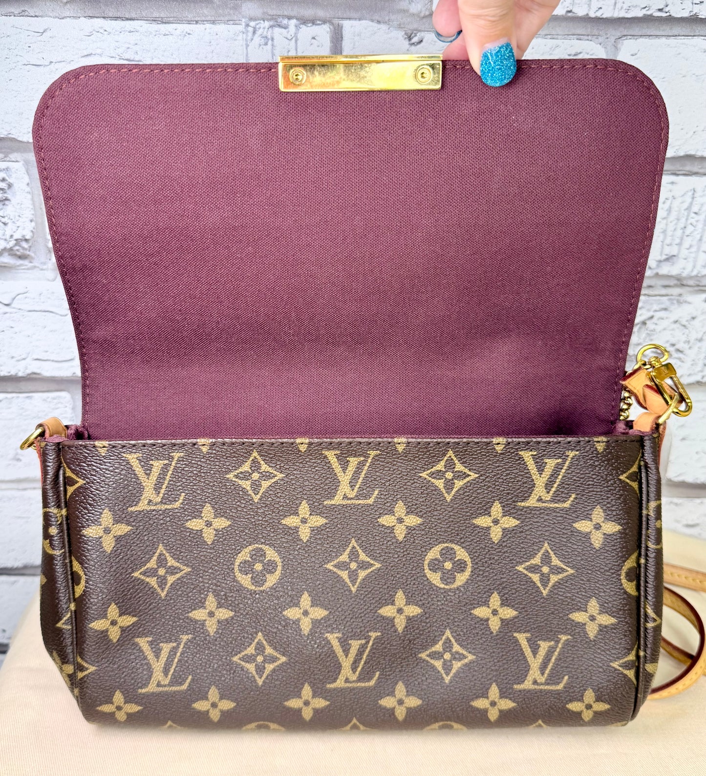 Louis Vuitton Favorite MM (Monogram) - Great/Excellent