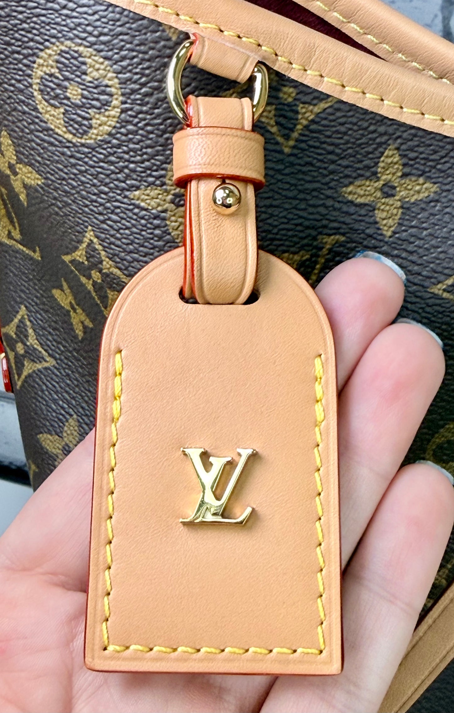 Louis Vuitton Carryall PM (Monogram) - Like New