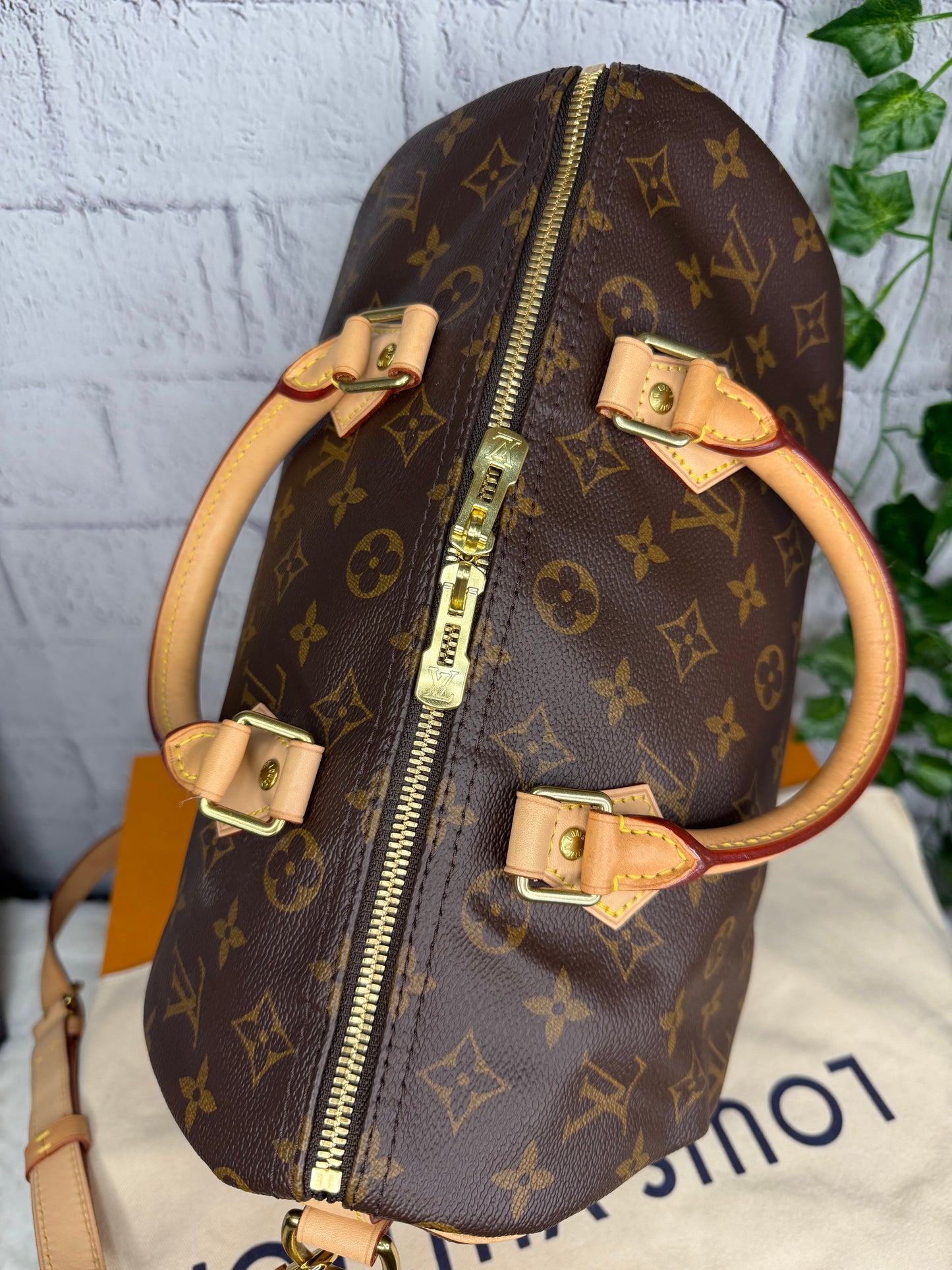 Louis Vuitton Speedy Bandouliere 30 Monogram