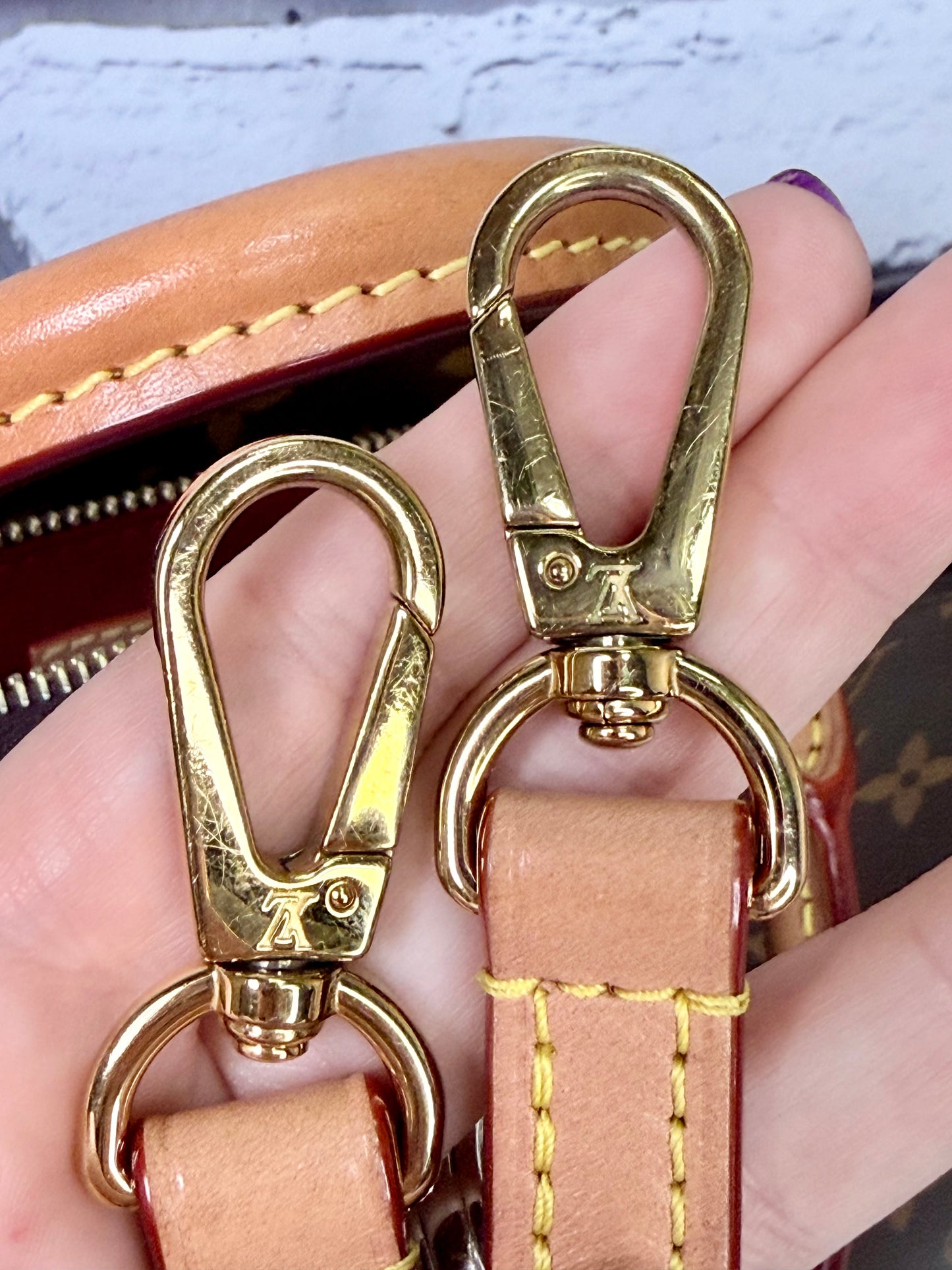 Louis Vuitton Petit Palais (Monogram) - Great