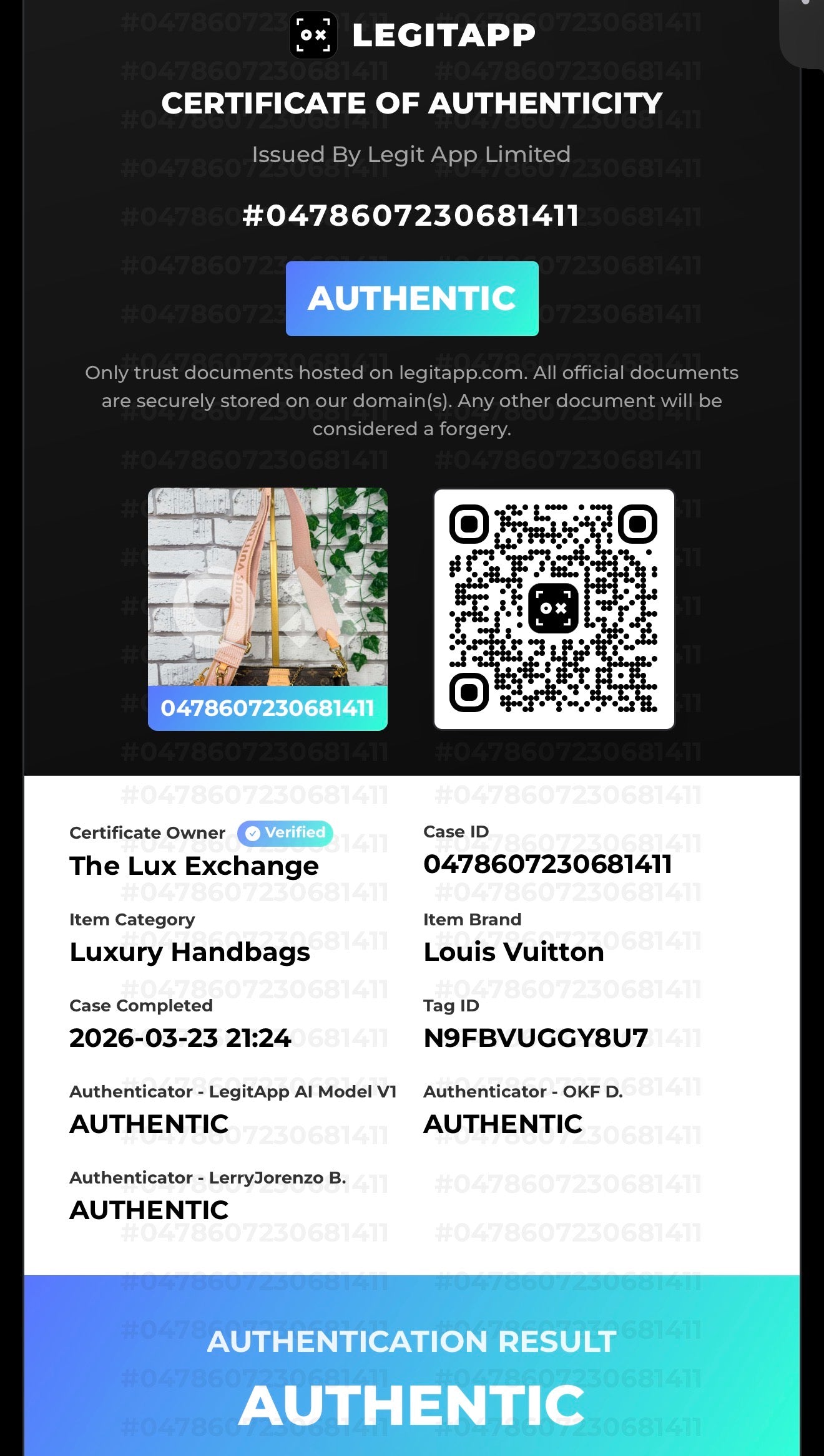 Louis Vuitton Multi Pochette Accessoires #2