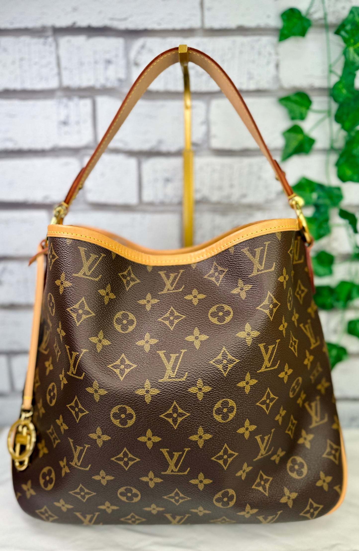 Pre-Owned Louis Vuitton Delightful PM