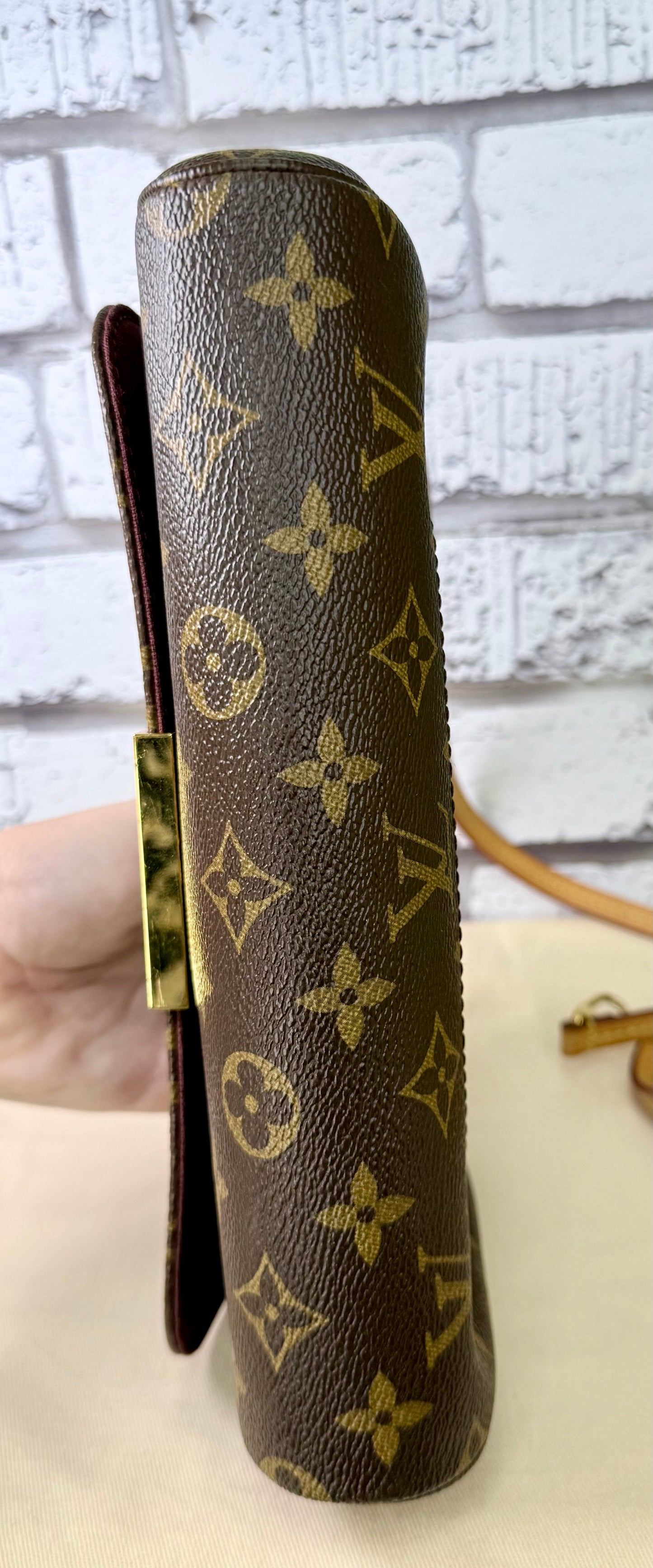 Louis Vuitton Favorite MM (Monogram) - Great/Excellent