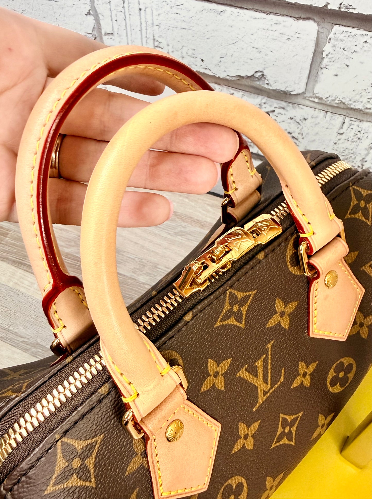 Louis Vuitton Monogram Speedy 20 (Black)