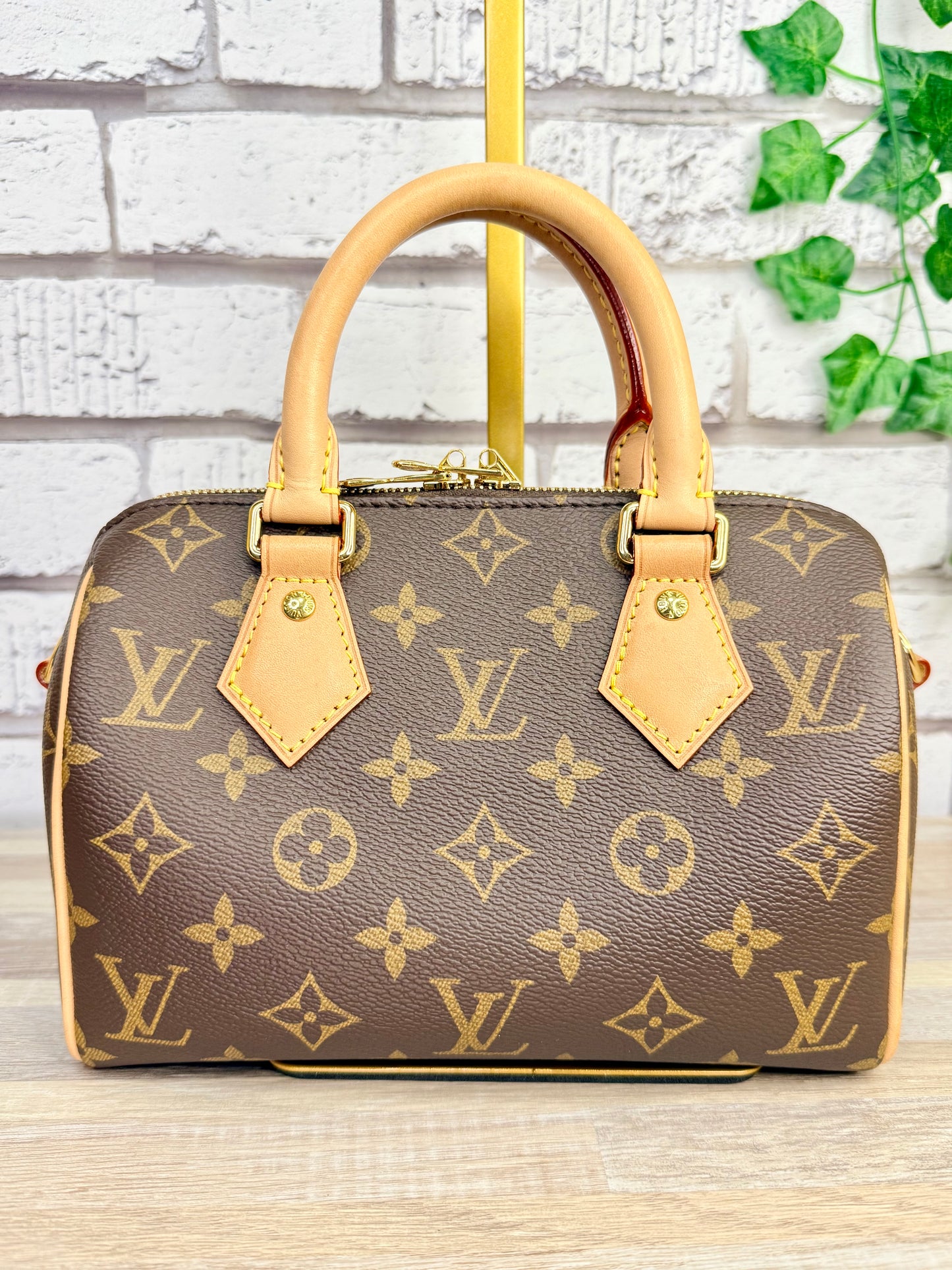 Louis Vuitton Monogram Speedy 20 (Black)
