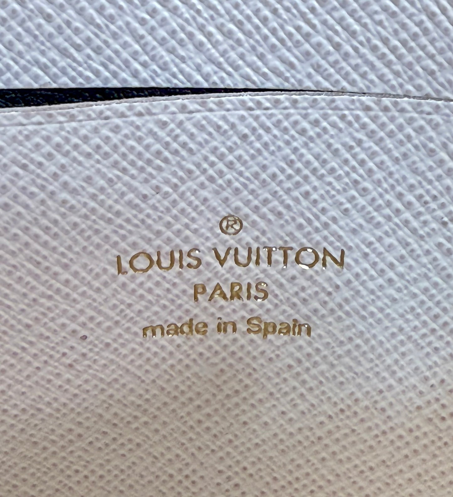 Louis Vuitton Limited Edition Crafty Double Zip Pochette