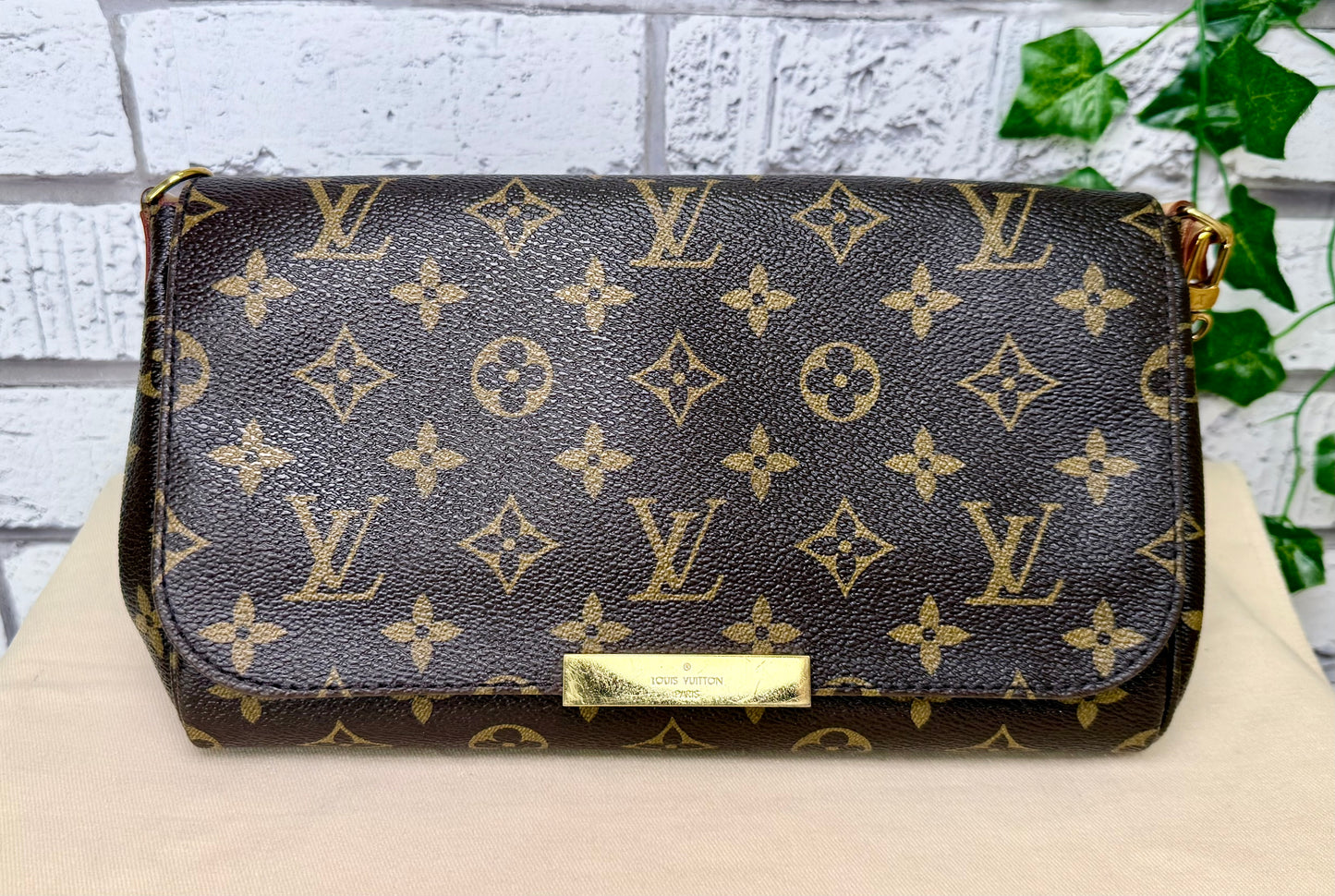 Louis Vuitton Favorite MM (Monogram) - Great/Excellent