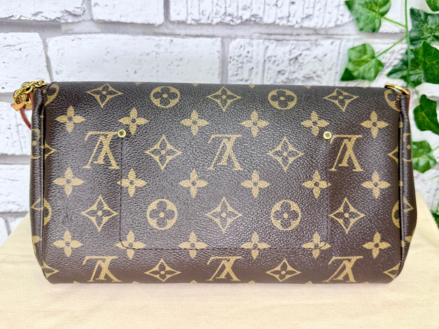 Louis Vuitton Favorite MM (Monogram) - Great/Excellent
