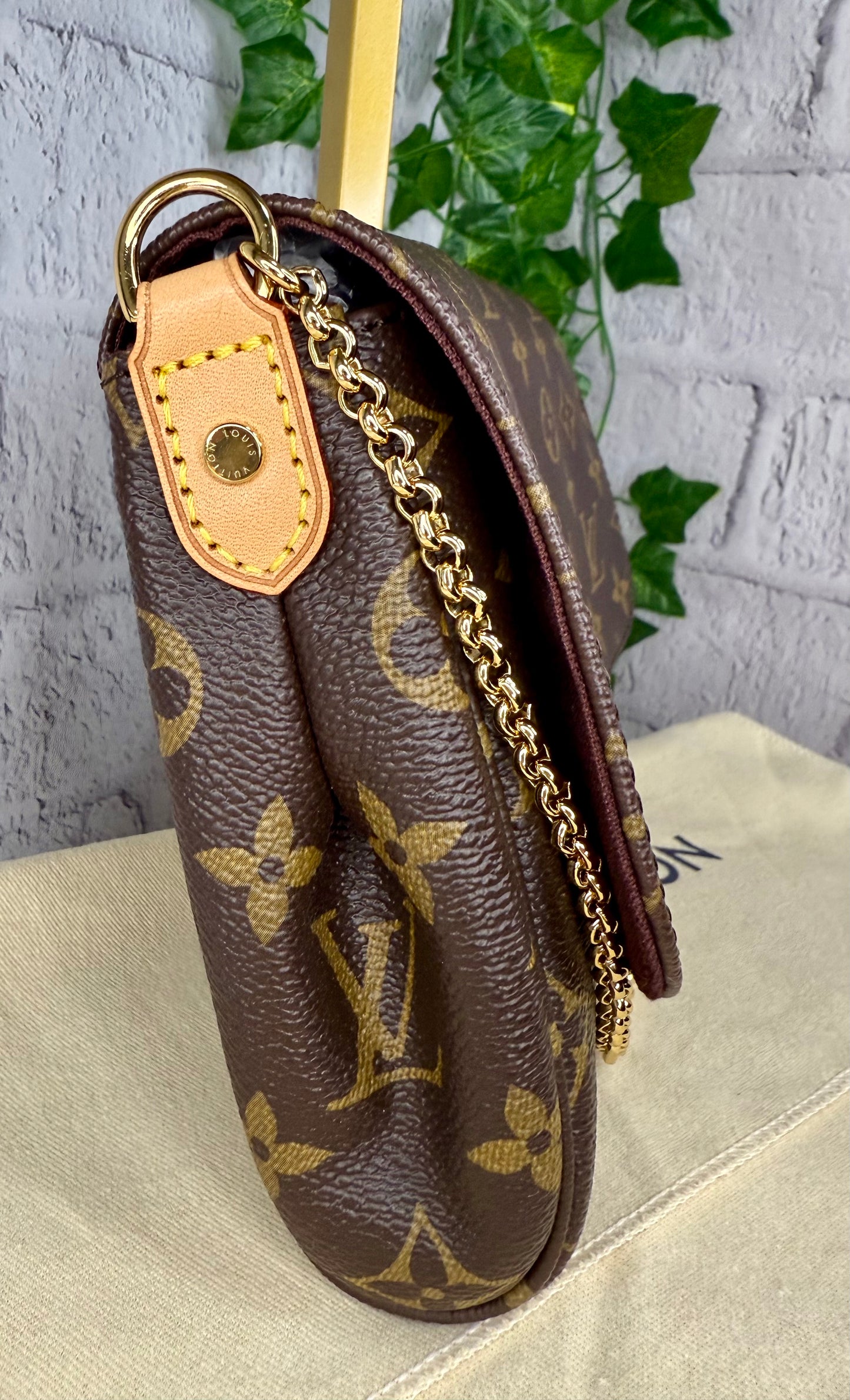 Louis Vuitton Monogram Favorite MM