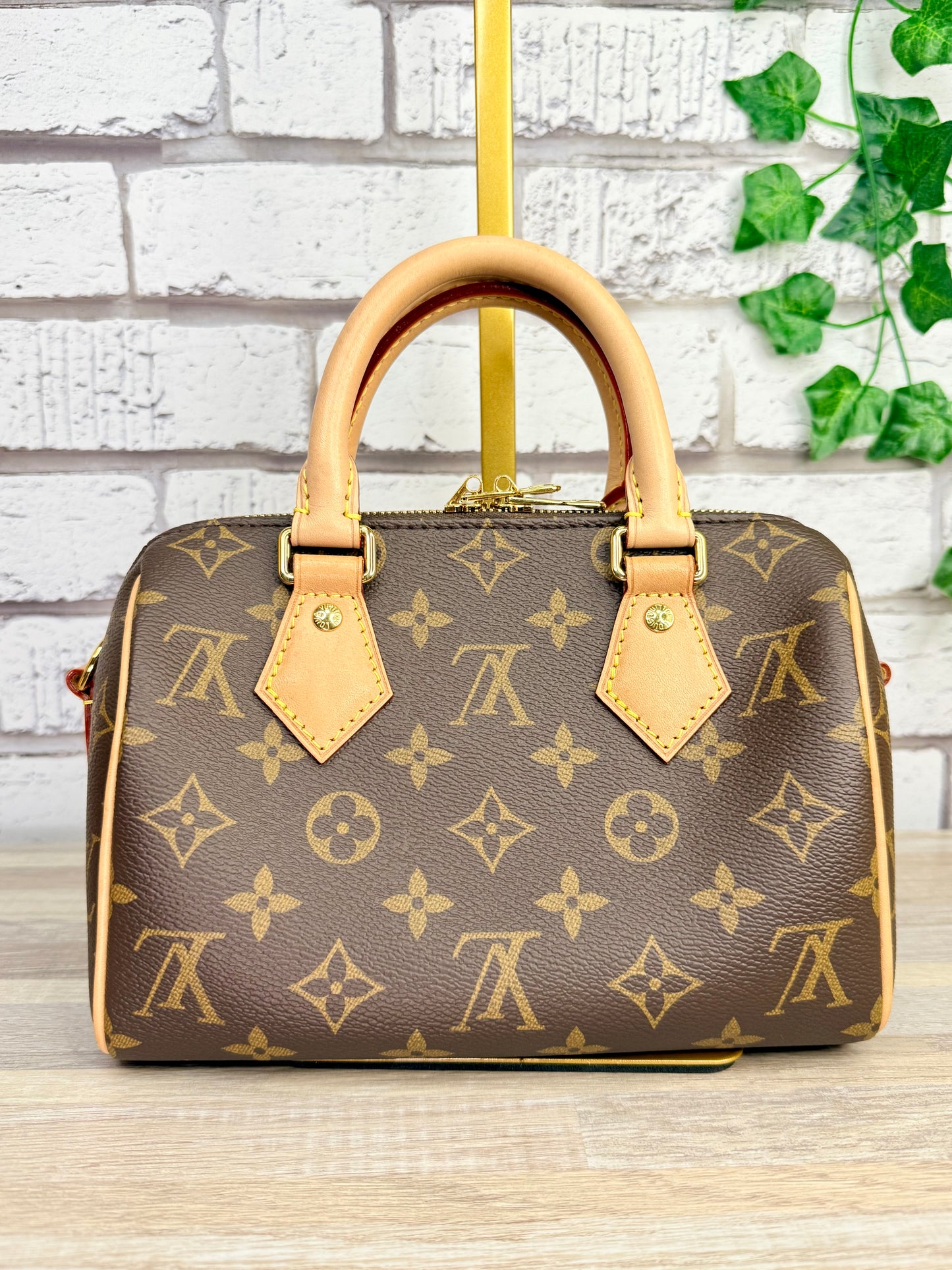 Louis Vuitton Monogram Speedy 20 (Black)