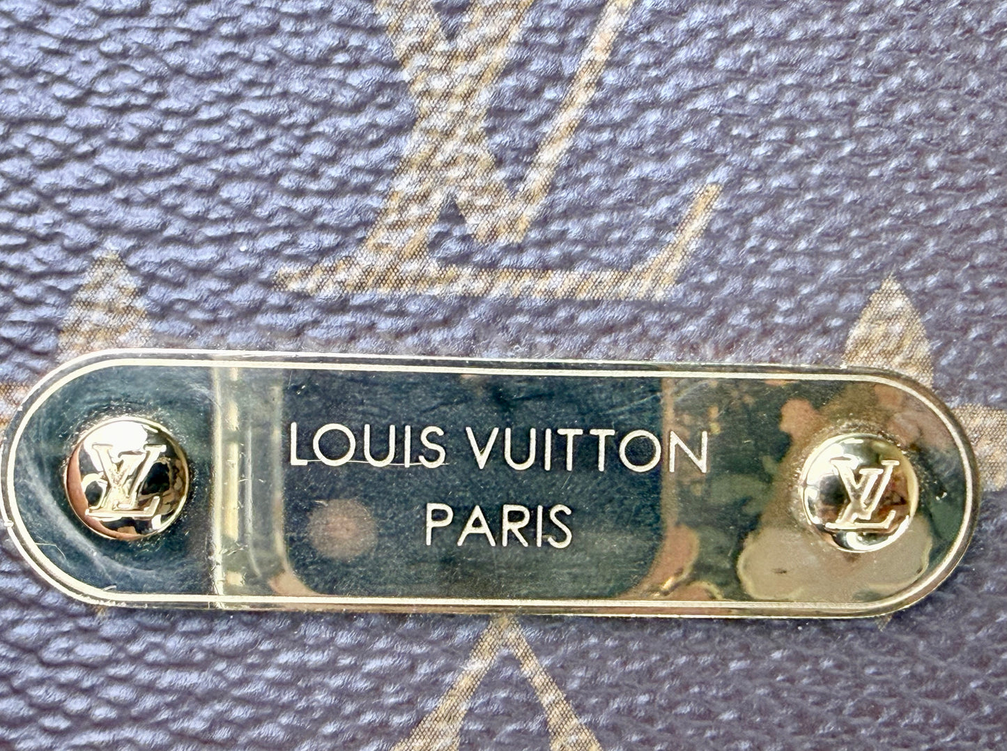 Louis Vuitton Lily Wallet On Chain - Excellent/Like New