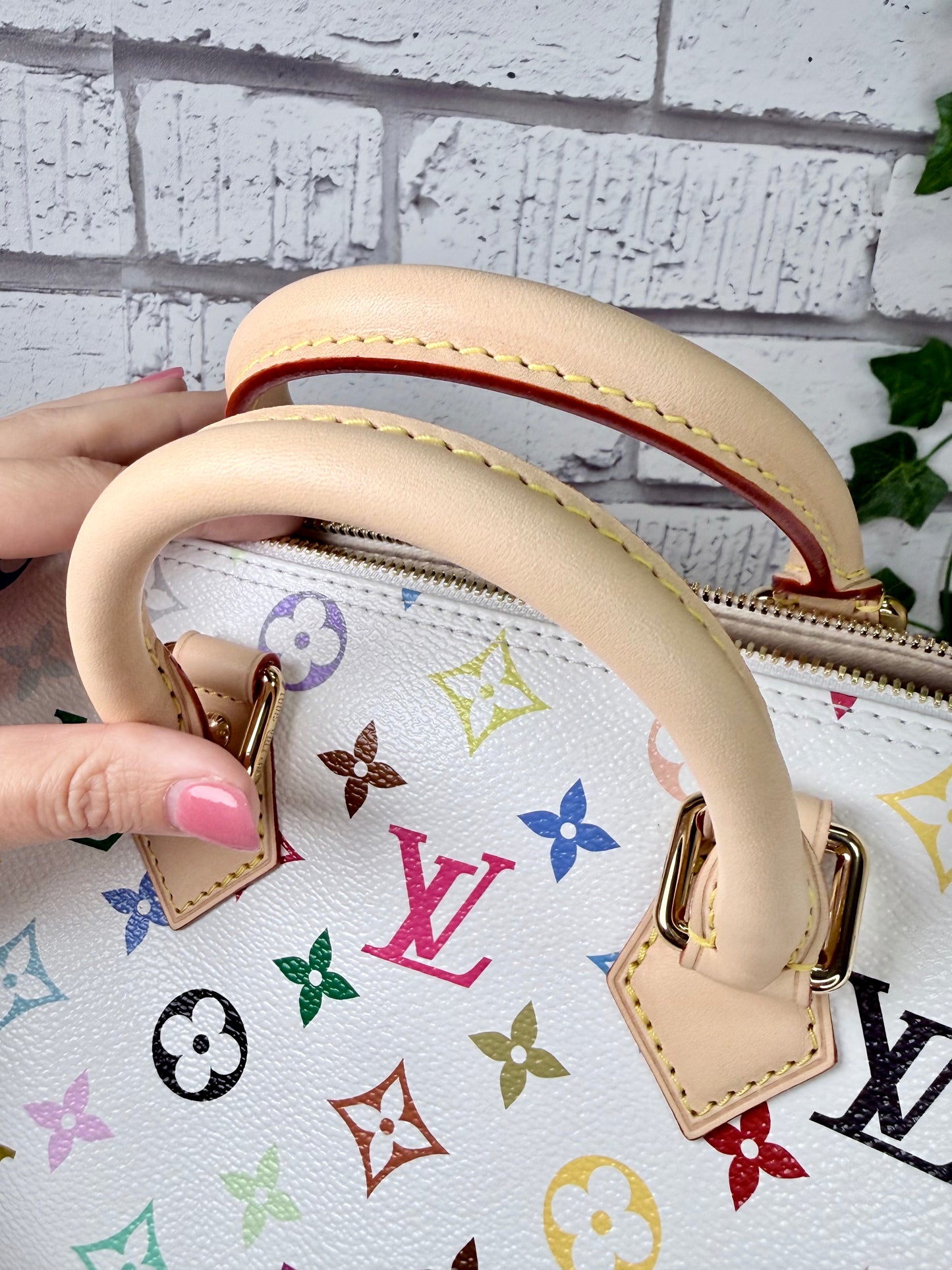 Louis Vuitton x Murakami Speedy 25 Bandouliere - NEW