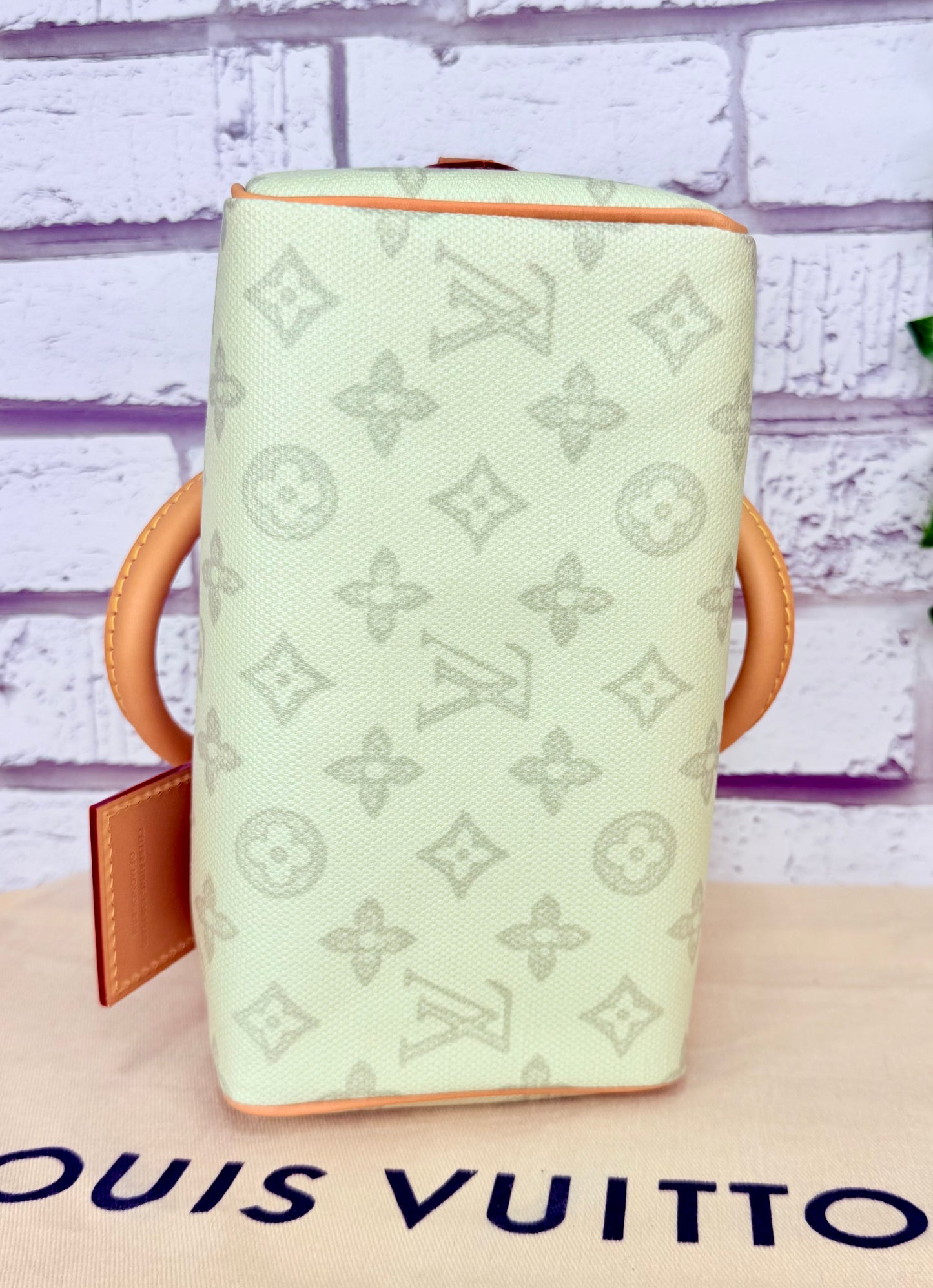 Louis Vuitton Limited Edition Speedy 20 Bandouliere (Green Asnieres)
