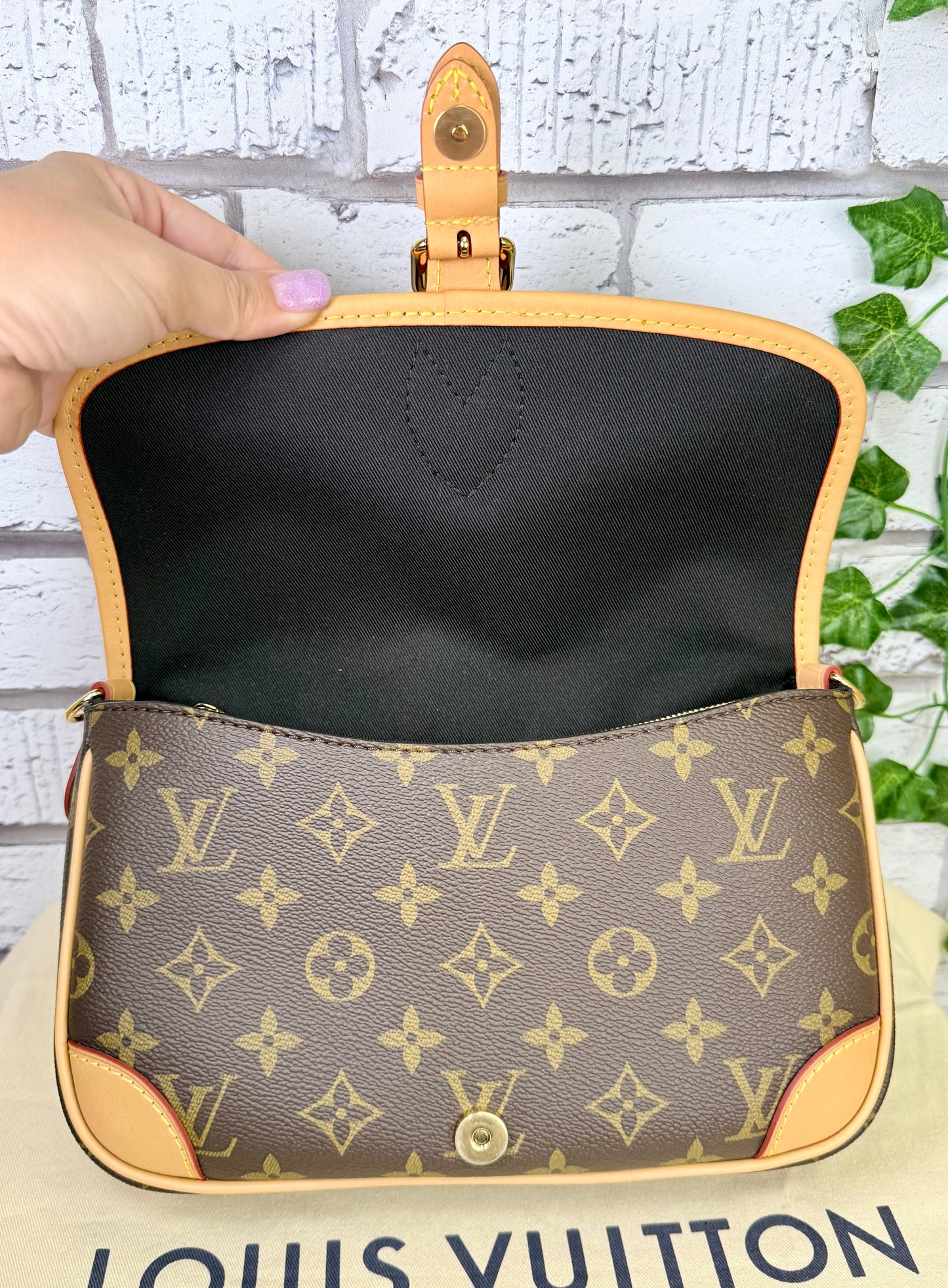 Louis Vuitton Diane (Monogram) - Pristine