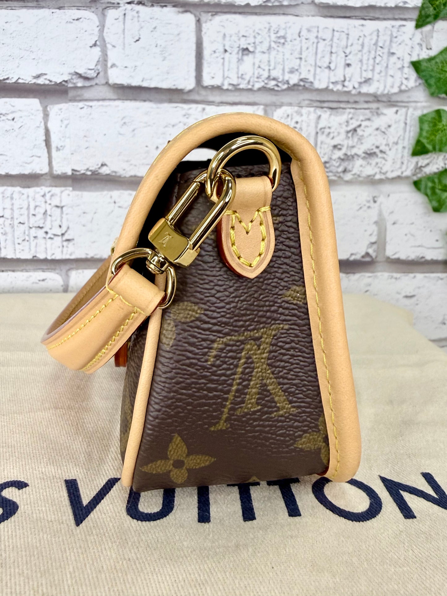 Louis Vuitton Nano Diane (Monogram) - Like New