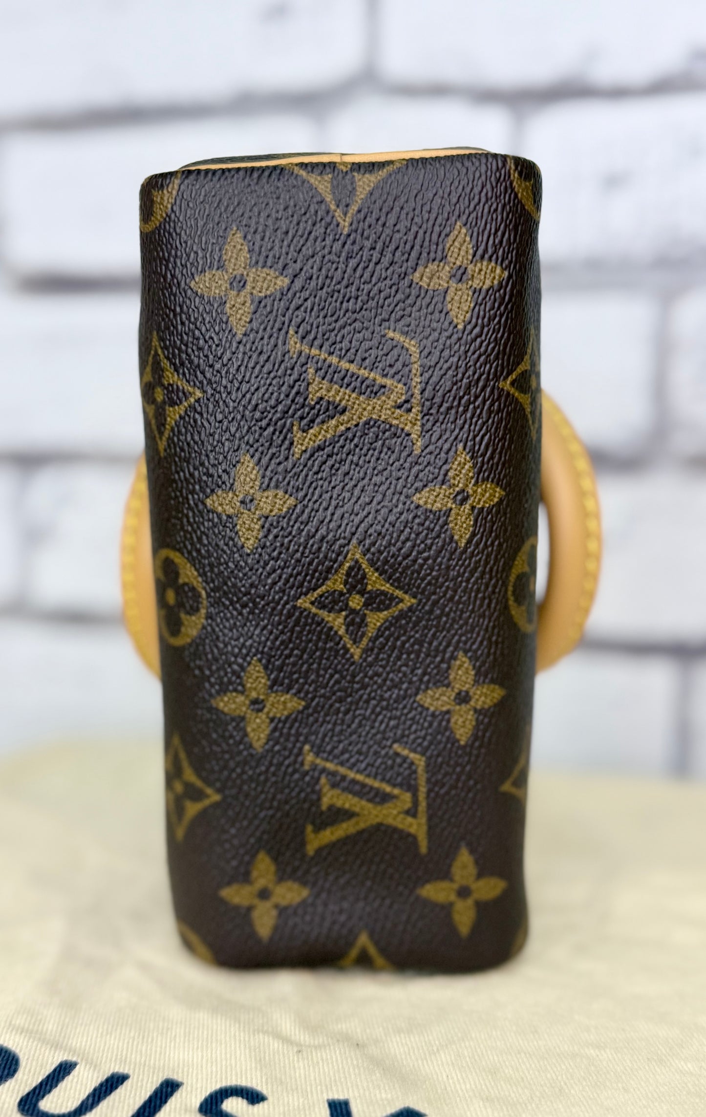 Louis Vuitton Speedy Nano (Monogram) - Excellent