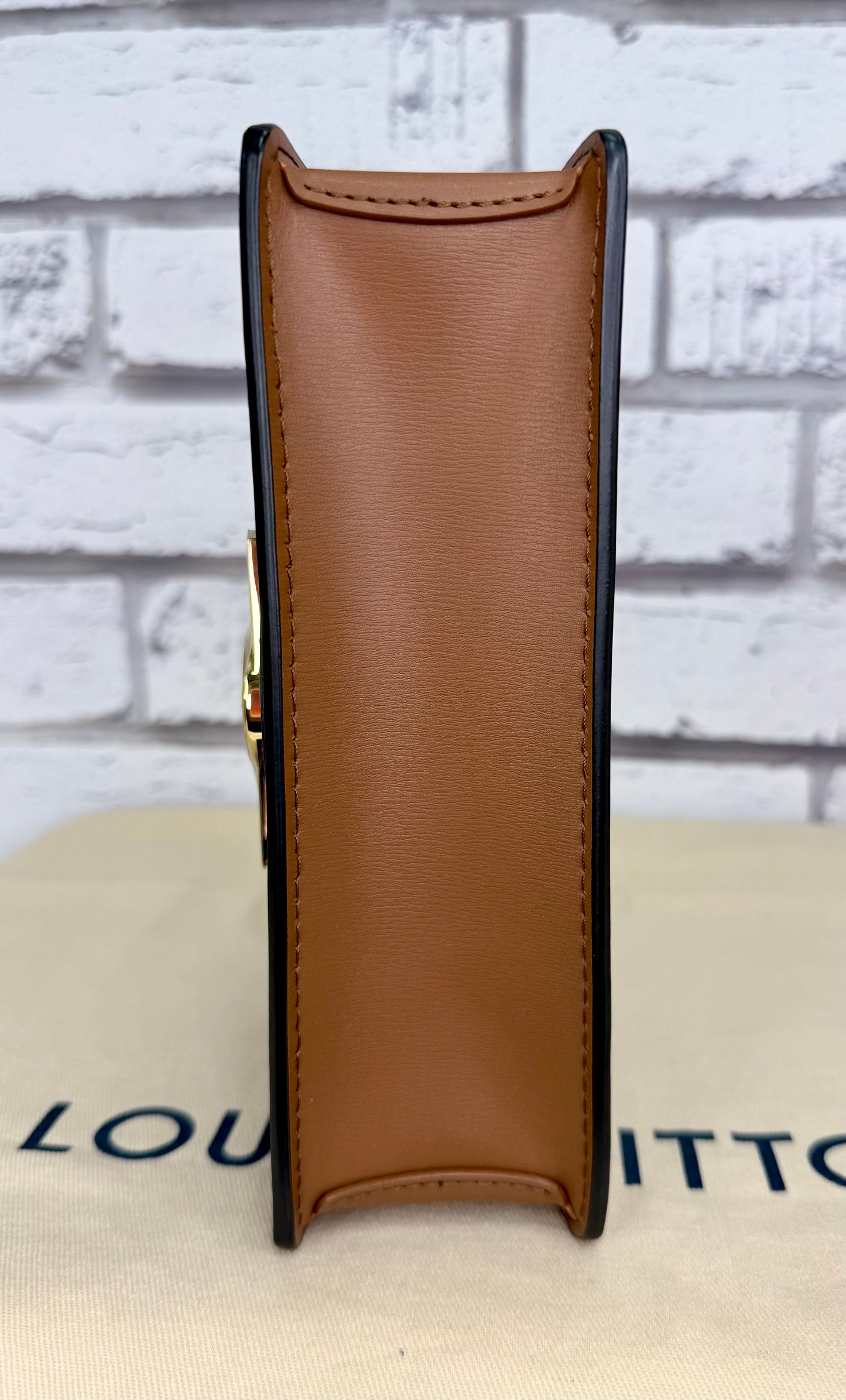 Louis Vuitton Chain Dauphine WOC (Reverse Monogram) - New