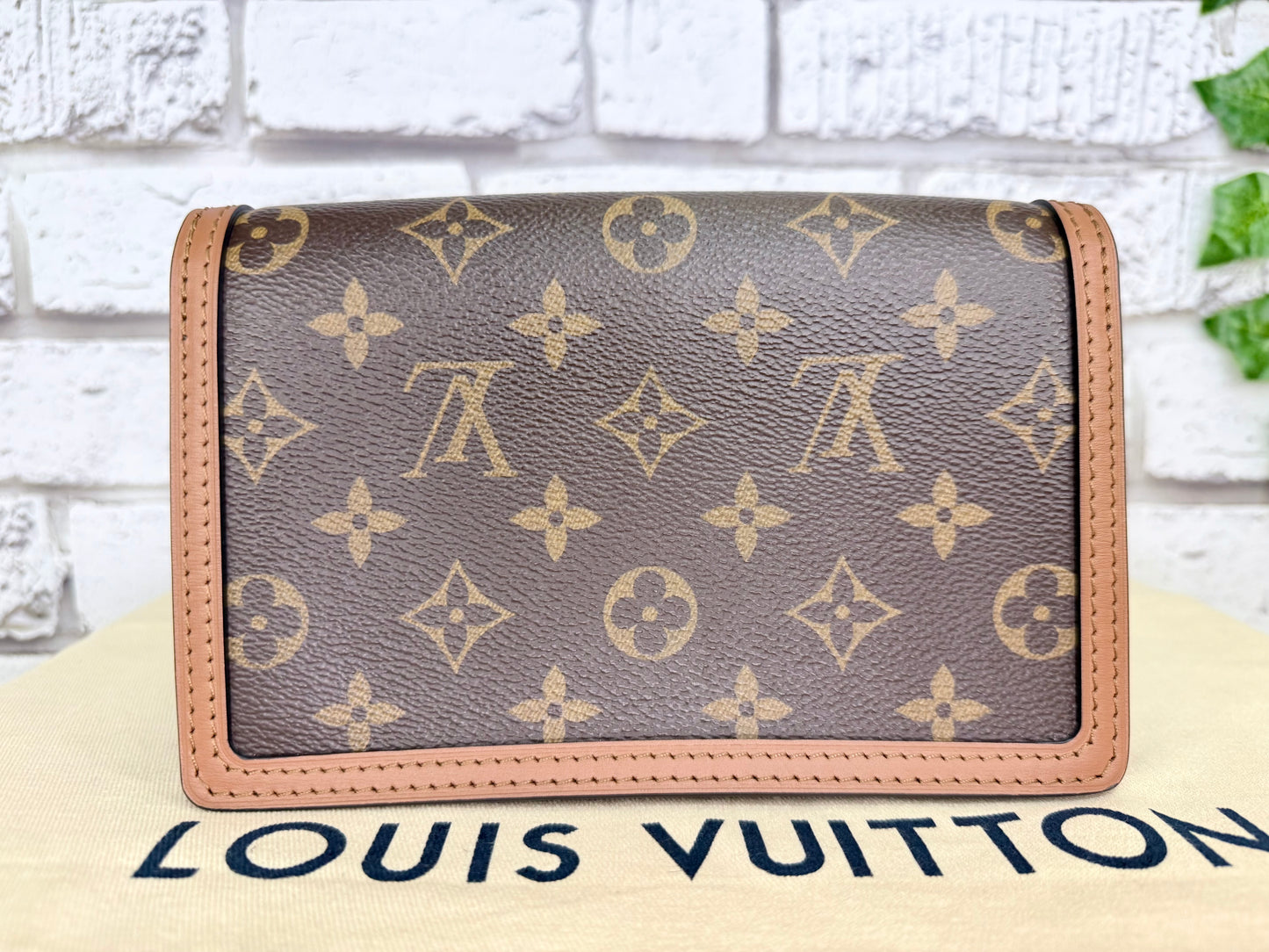 Louis Vuitton Chain Dauphine WOC (Reverse Monogram) - New