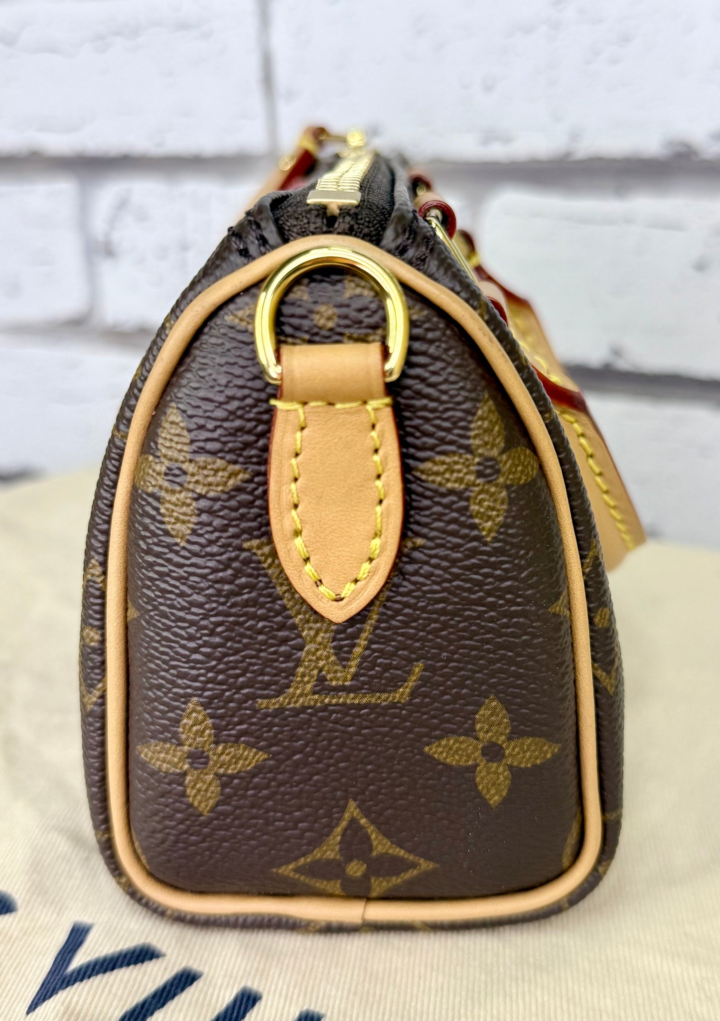 Louis Vuitton Speedy Nano (Monogram) - Excellent