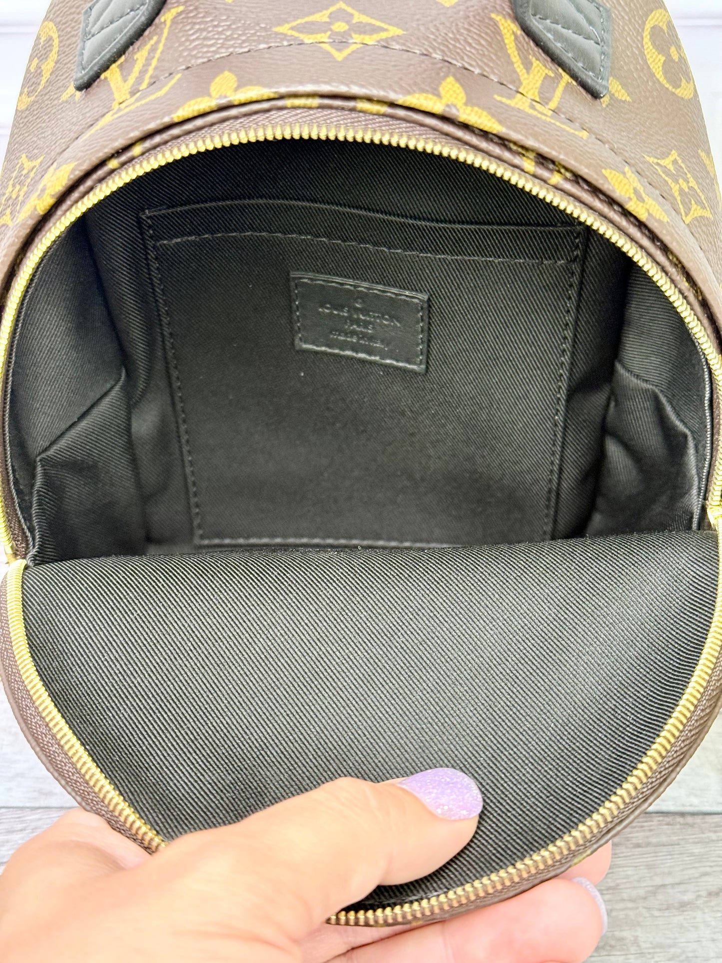 Louis Vuitton Palm Springs Mini (Monogram) - New