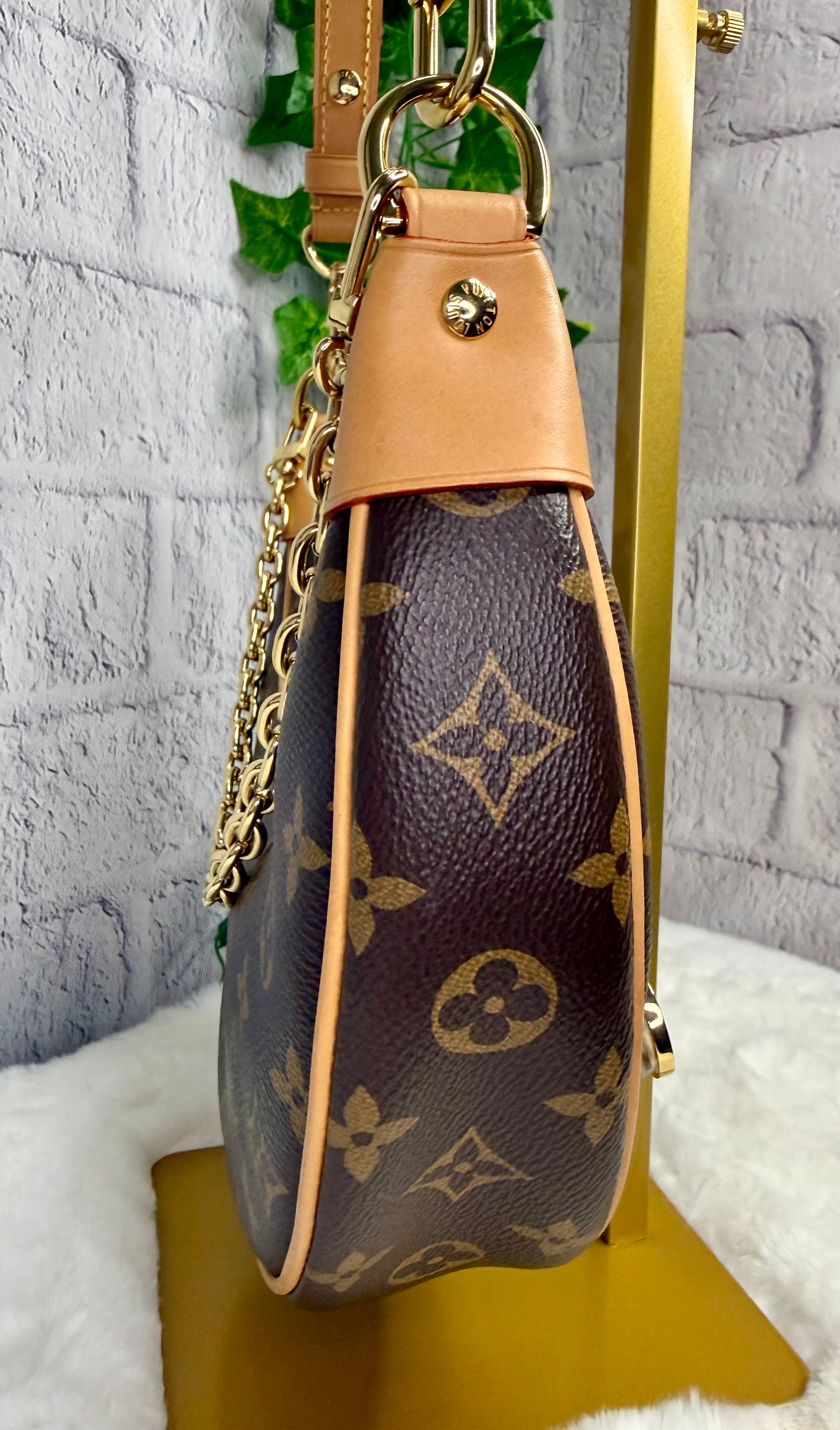 Louis Vuitton Loop Bag Monogram