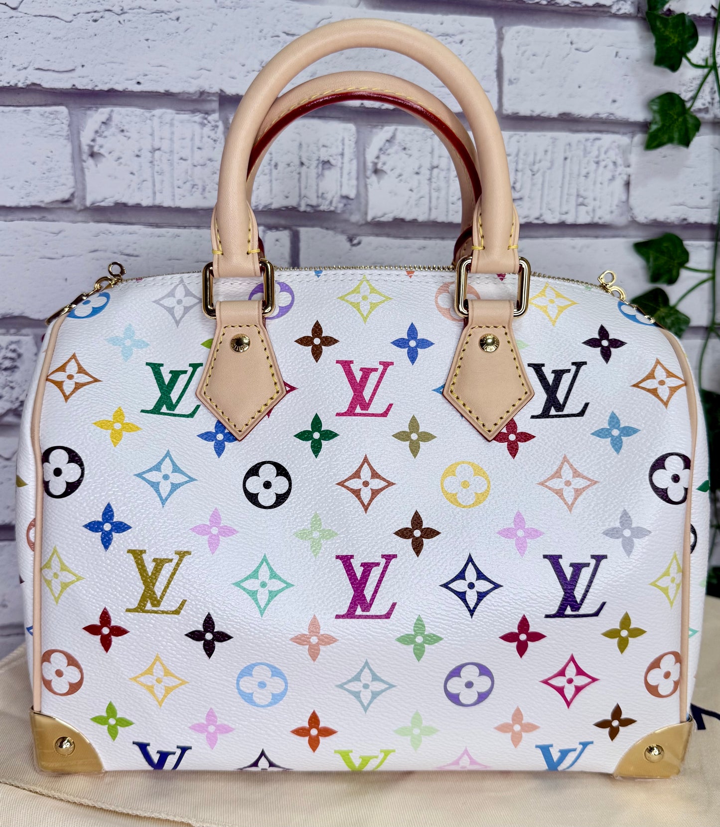 Louis Vuitton x Murakami Speedy 25 Bandouliere - NEW