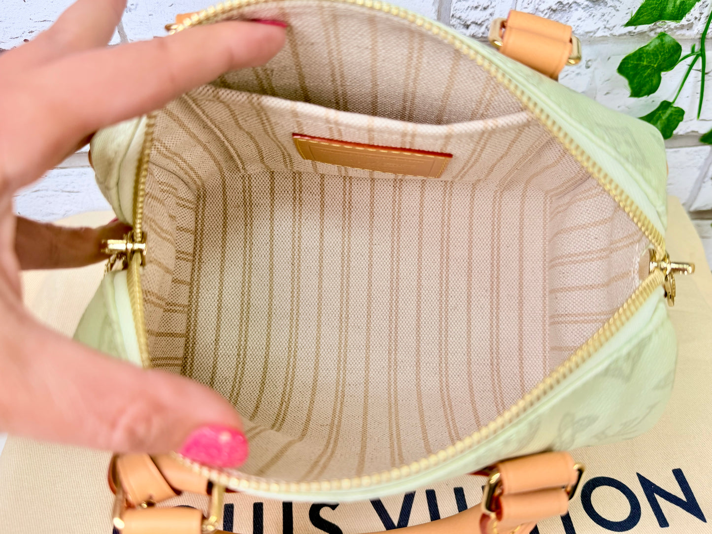 Louis Vuitton Limited Edition Speedy 20 Bandouliere (Green Asnieres)