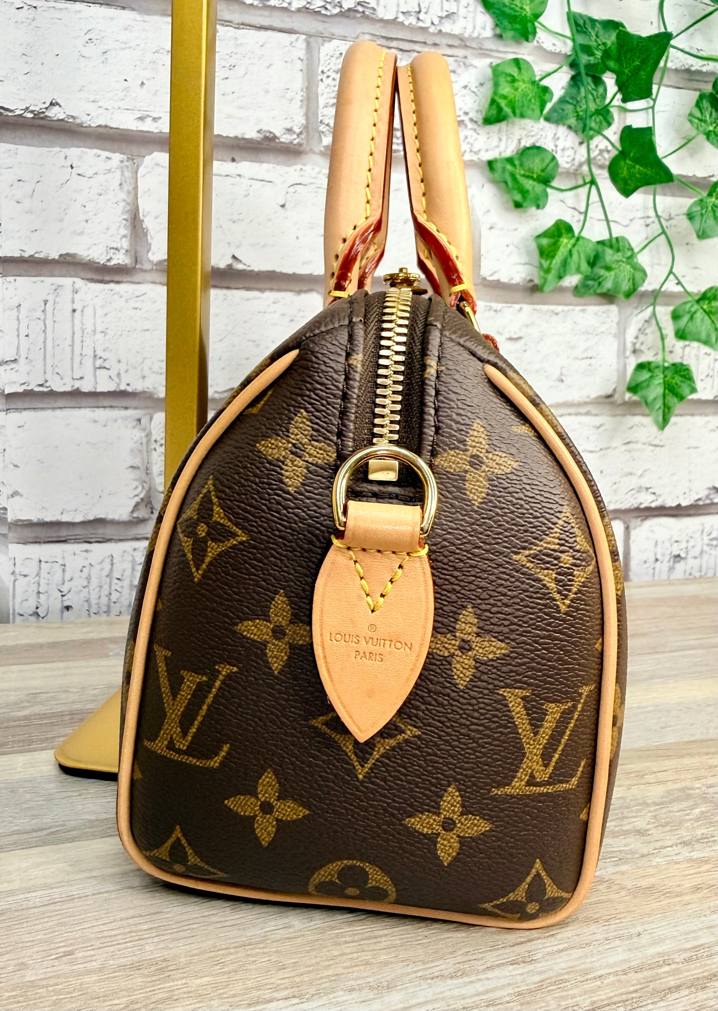 Louis Vuitton Monogram Speedy 20 (Black)