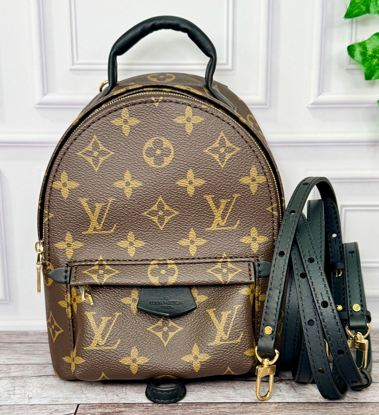 Louis Vuitton Palm Springs Mini (Monogram) - New