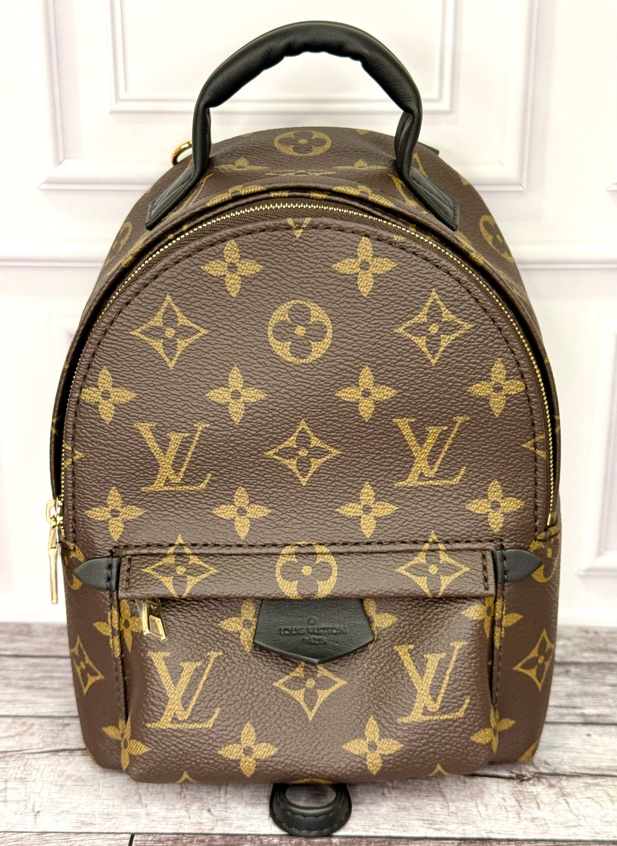 Louis Vuitton Palm Springs Mini (Monogram) - New