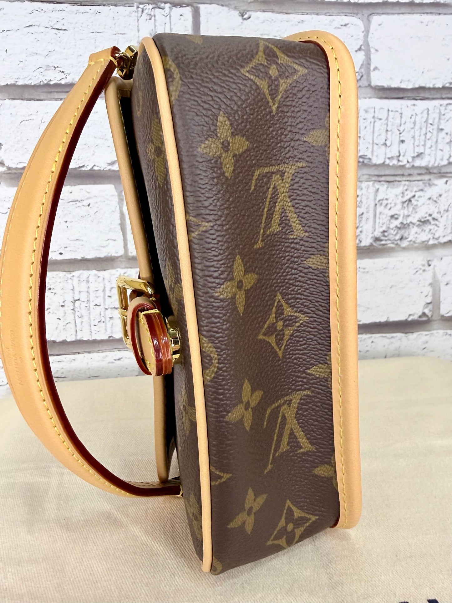 Louis Vuitton Nano Diane (Monogram) - Like New
