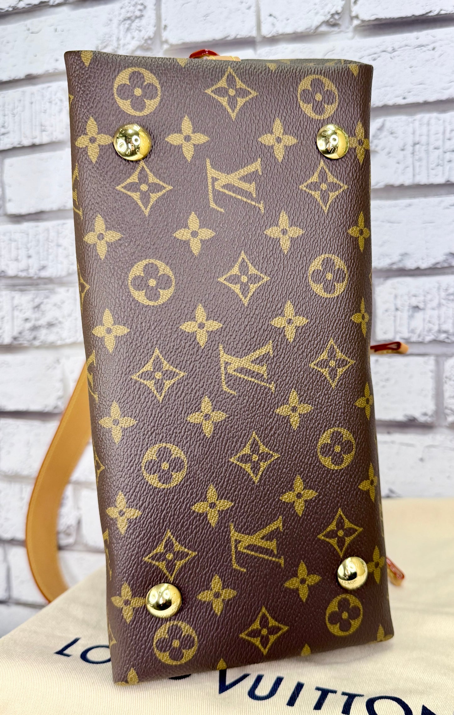 Louis Vuitton Carryall PM (Monogram) - Like New/Unused