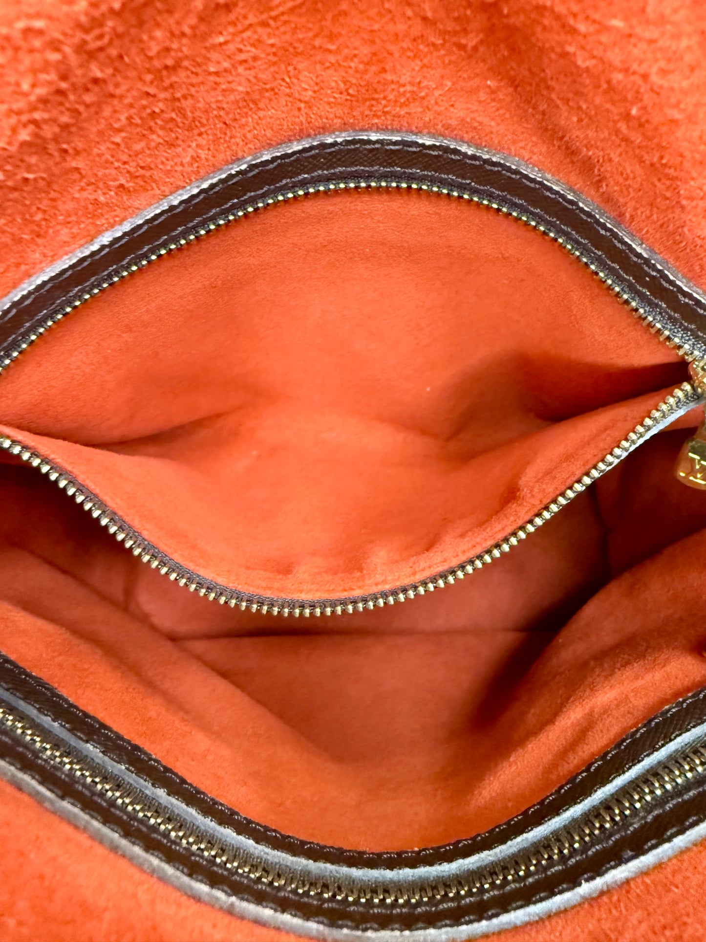 Louis Vuitton Damier Ebene Marais Bucket Bag
